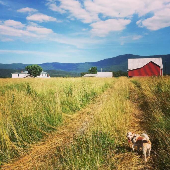 Madeline Farms Villa Luray Eksteriør billede