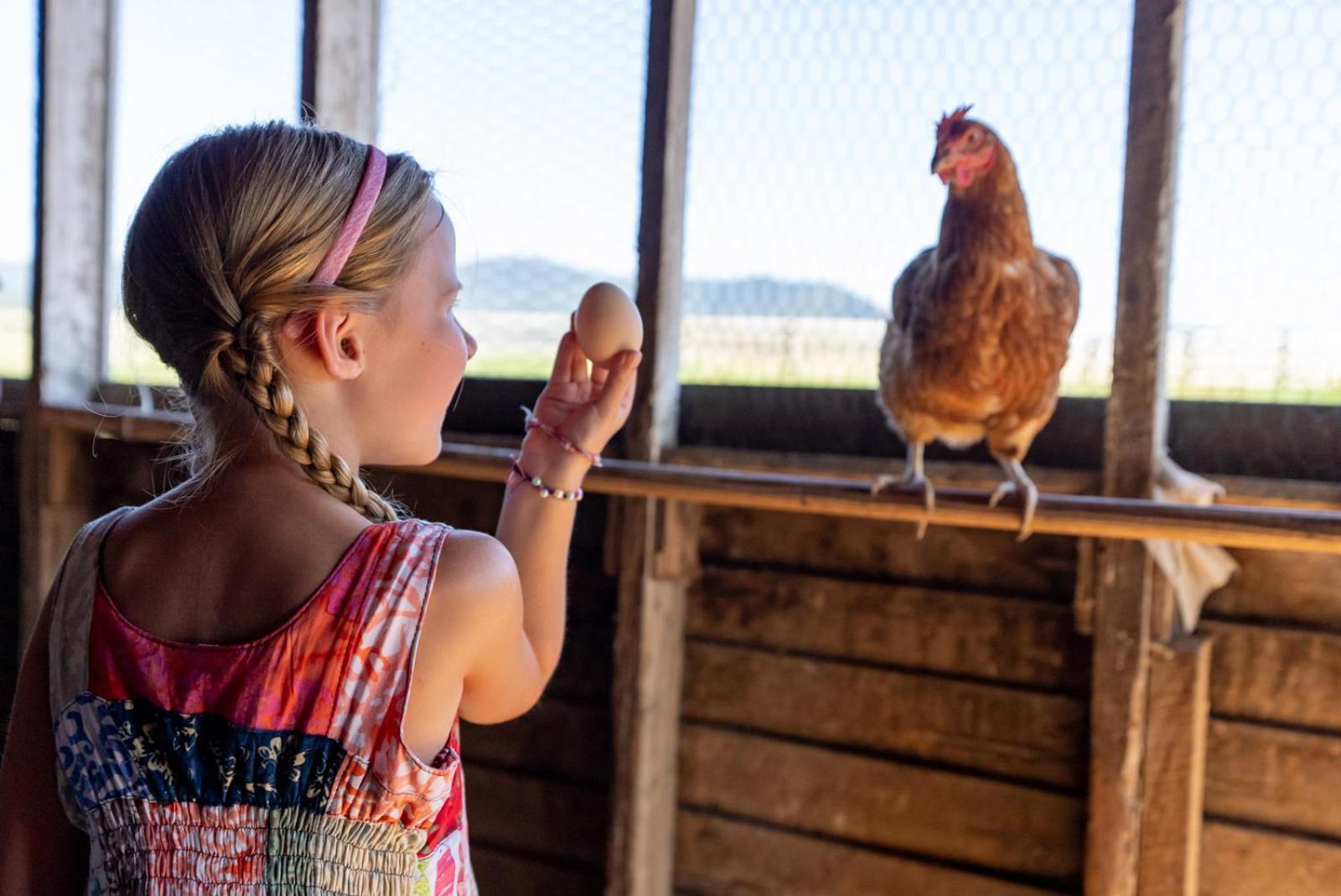 Madeline Farms Villa Luray Eksteriør billede