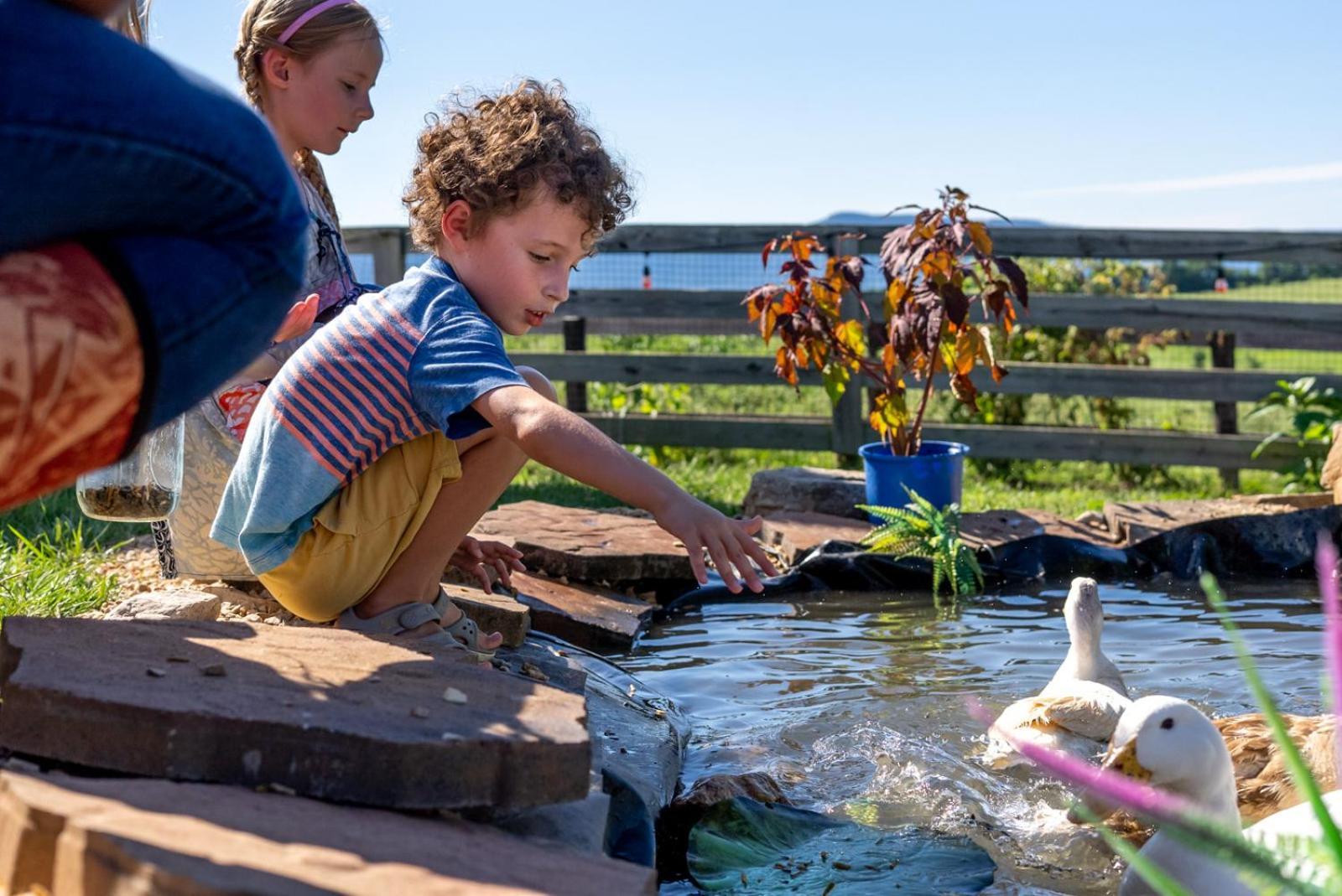 Madeline Farms Villa Luray Eksteriør billede